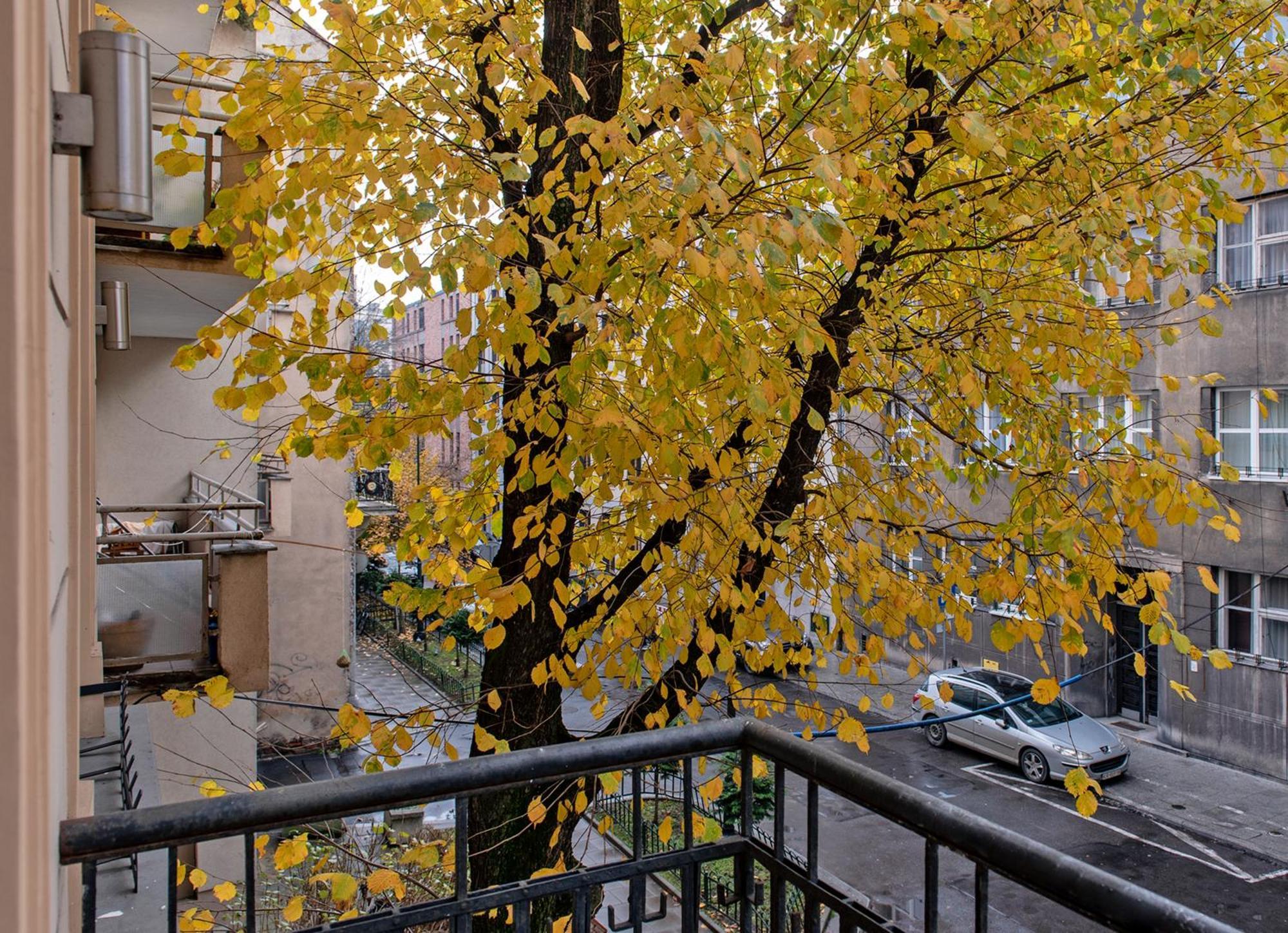 3d Wygoda * Краків